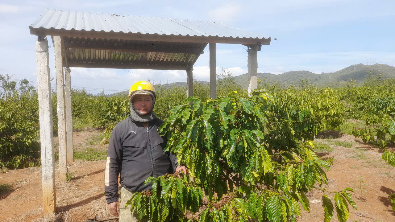 PHÁT TRIỂN KINH TẾ GIA ĐÌNH NHỜ VÀO NGUỒN VỐN VAY TỪ NGÂN  HÀNG CHÍNH SÁCH XÃ HỘI